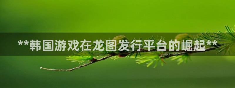 门徒平台代理：**韩国游戏在龙图发行平台的崛起**