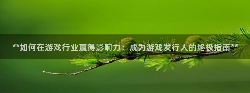 门徒娱乐项目：**如何在游戏行业赢得影响力：成为游戏发行人的终极指南**