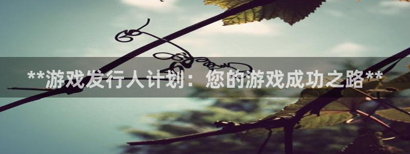 门徒平台开户流程图：**游戏发行人计划：您的游戏成功之路**