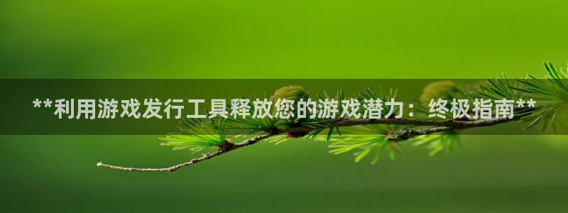 门徒平台注册中心电话：**利用游戏发行工具释放您的游戏潜力：终极指南**