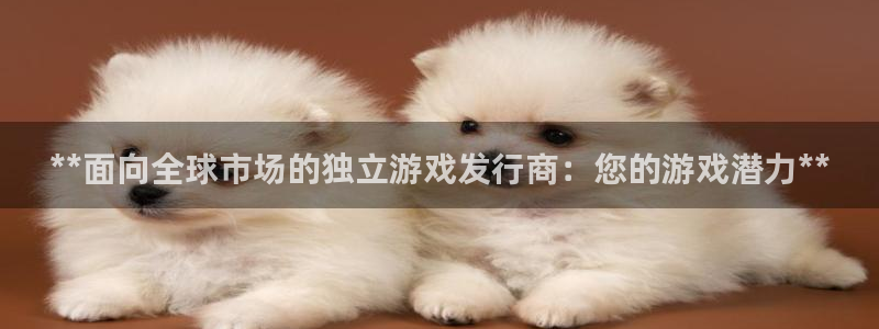 门徒娱乐怎么注册账号：**面向全球市场的独立游戏发行商：您的游戏潜力**