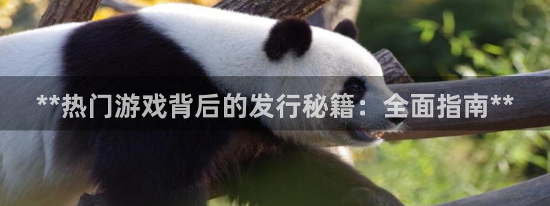 门徒平台注册登陆失败：**热门游戏背后的发行秘籍：全面指南**