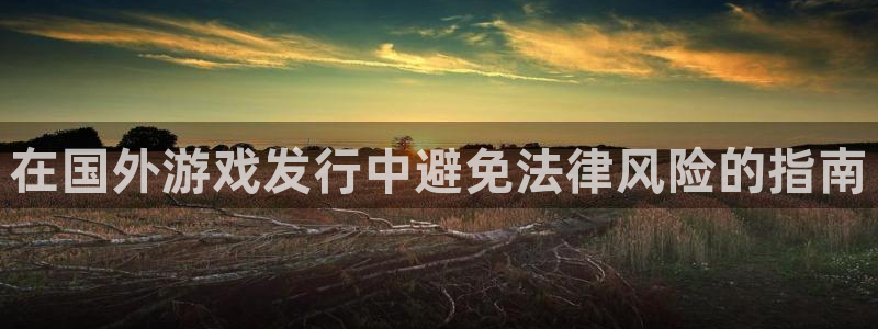 门徒娱乐登录中心：在国外游戏发行中避免法律风险的指南