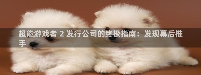 门徒娱乐客服电话：超能游戏者 2 发行公司的终极指南：发现幕后推
手