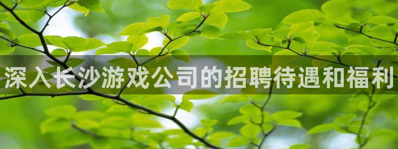 门徒娱乐下载手机版