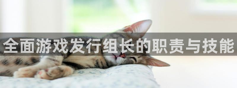 门徒娱乐登录地址在哪查询啊：全面游戏发行组长的职责与技能