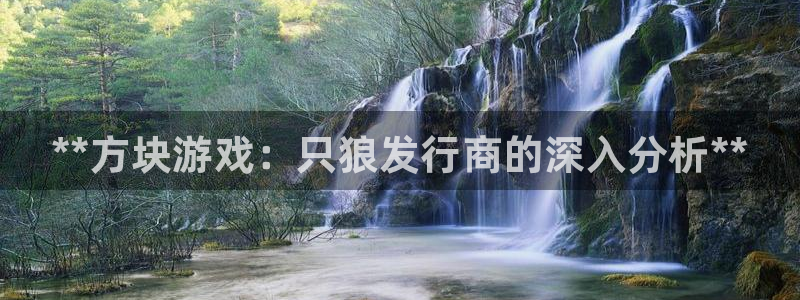 门徒平台推荐 585341：**方块游戏：只狼发行商的深入分析**