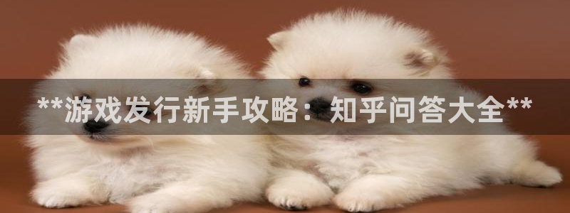门徒娱乐公司介绍：**游戏发行新手攻略：知乎问答大全**