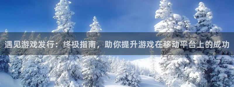 门徒娱乐联3.7.9.9.7 主管：遇见游戏发行：终极指南，助你提升游戏在移动平台上的成功