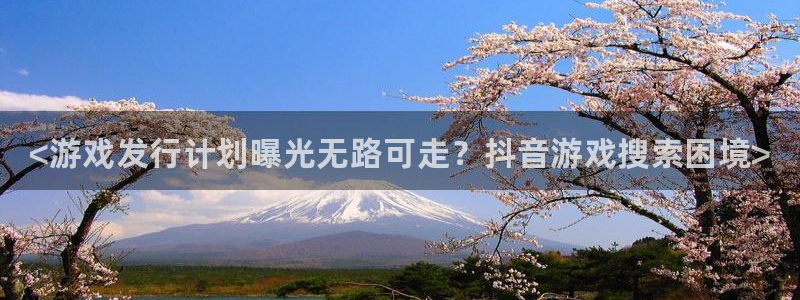 门徒娱乐项目介绍：<游戏发行计划曝光无路可走？抖音游戏搜索困境>